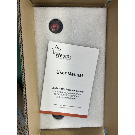 Westar LiFePo4 battery 12V 100Ah (6LF100)