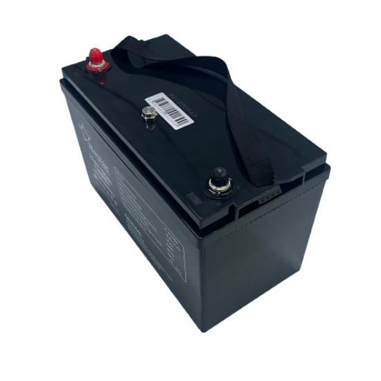Westar LiFePo4 battery 12V 100Ah (6LF100)
