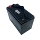 Westar LiFePo4 battery 12V 100Ah (6LF100)