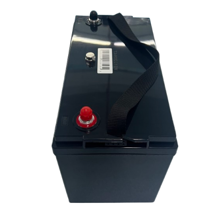 Westar LiFePo4 battery 12V 100Ah (6LF100)