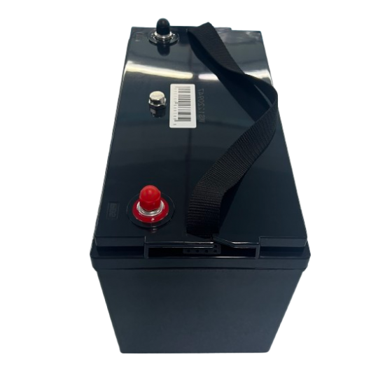 Westar LiFePo4 battery 12V 100Ah (6LF100)