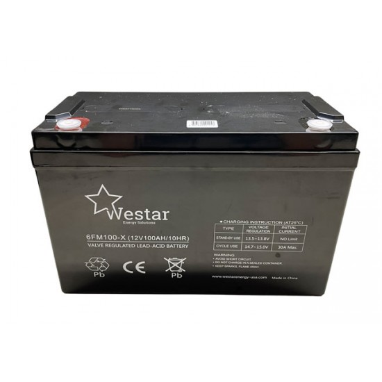 WestarLead Acid Battery 12V 100Ah for UPS